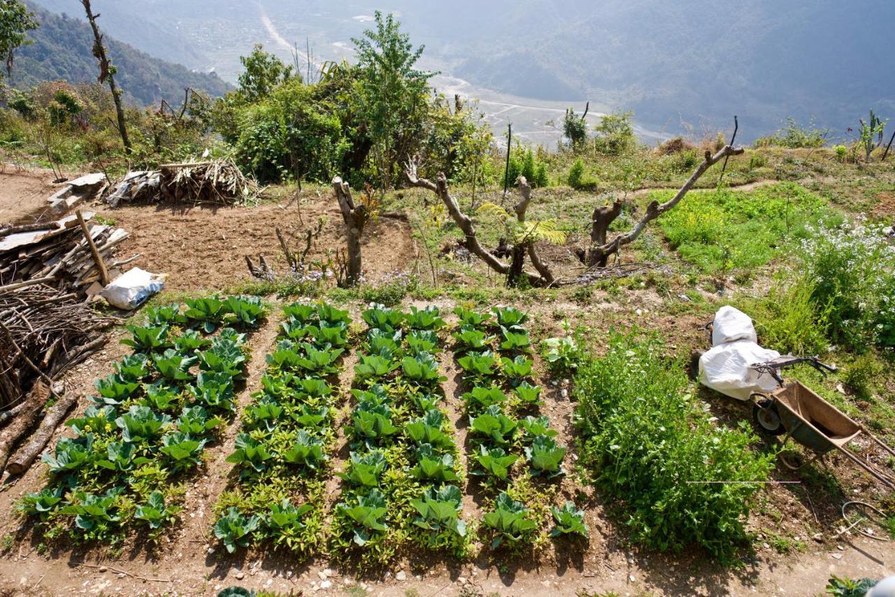 Annapurna Eco Village Pokhara Kültér fotó
