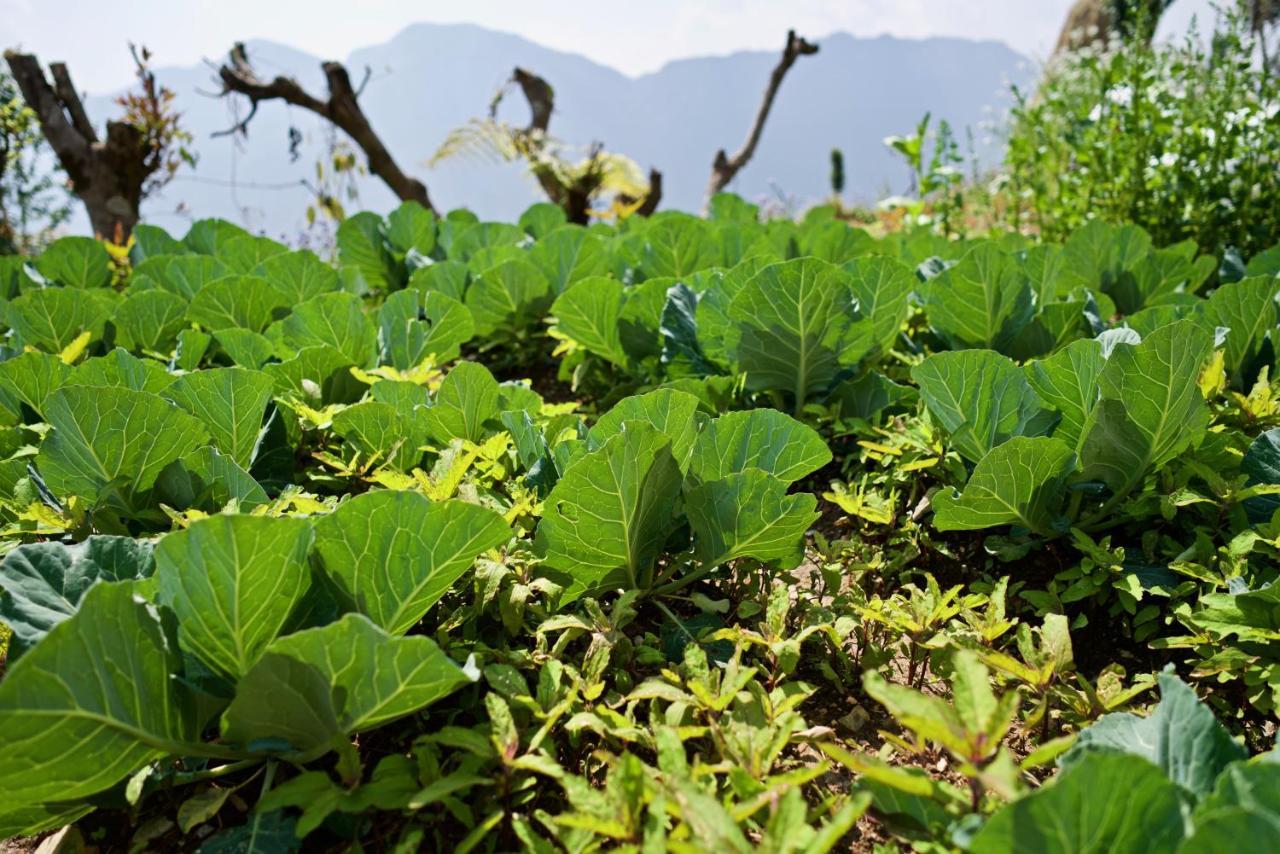 Annapurna Eco Village Pokhara Kültér fotó